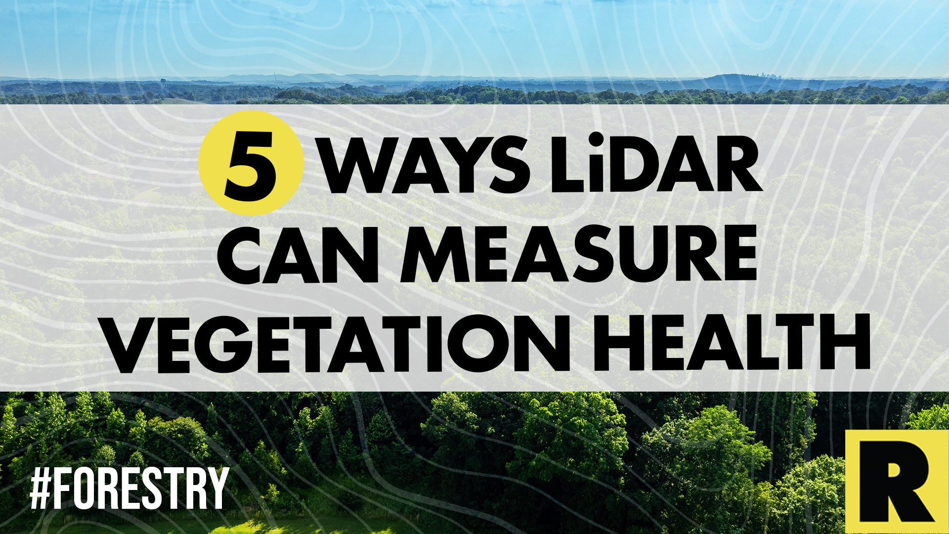 5 Ways LiDAR Can Measure Vegetation Health in the Forestry Industry