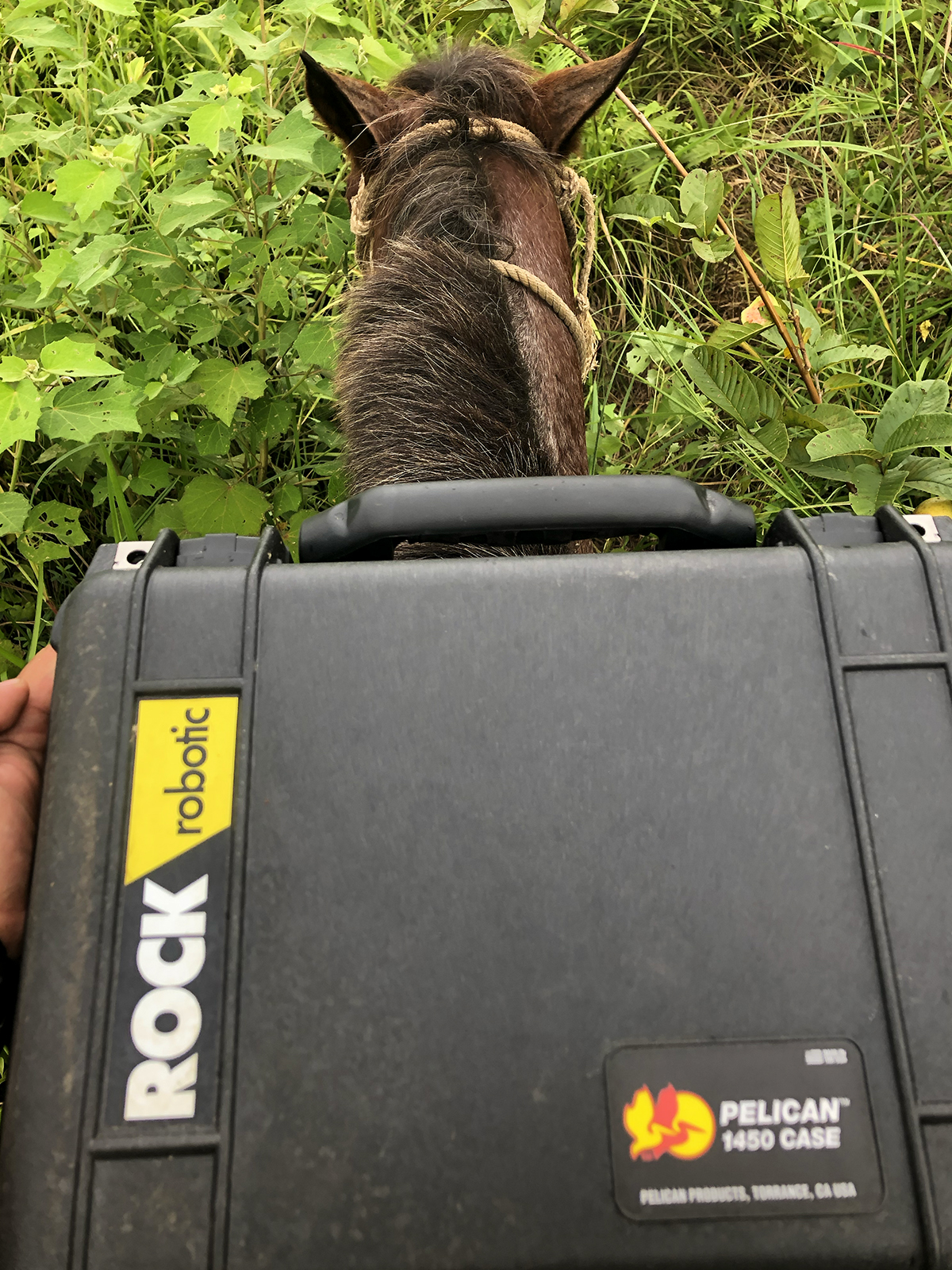 Christopher Saili held the ROCK R2A case while riding a horse as he and the team trekked through the job site.