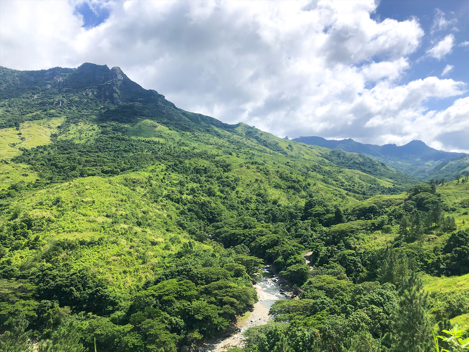 Dense vegetation in mountainous landscape