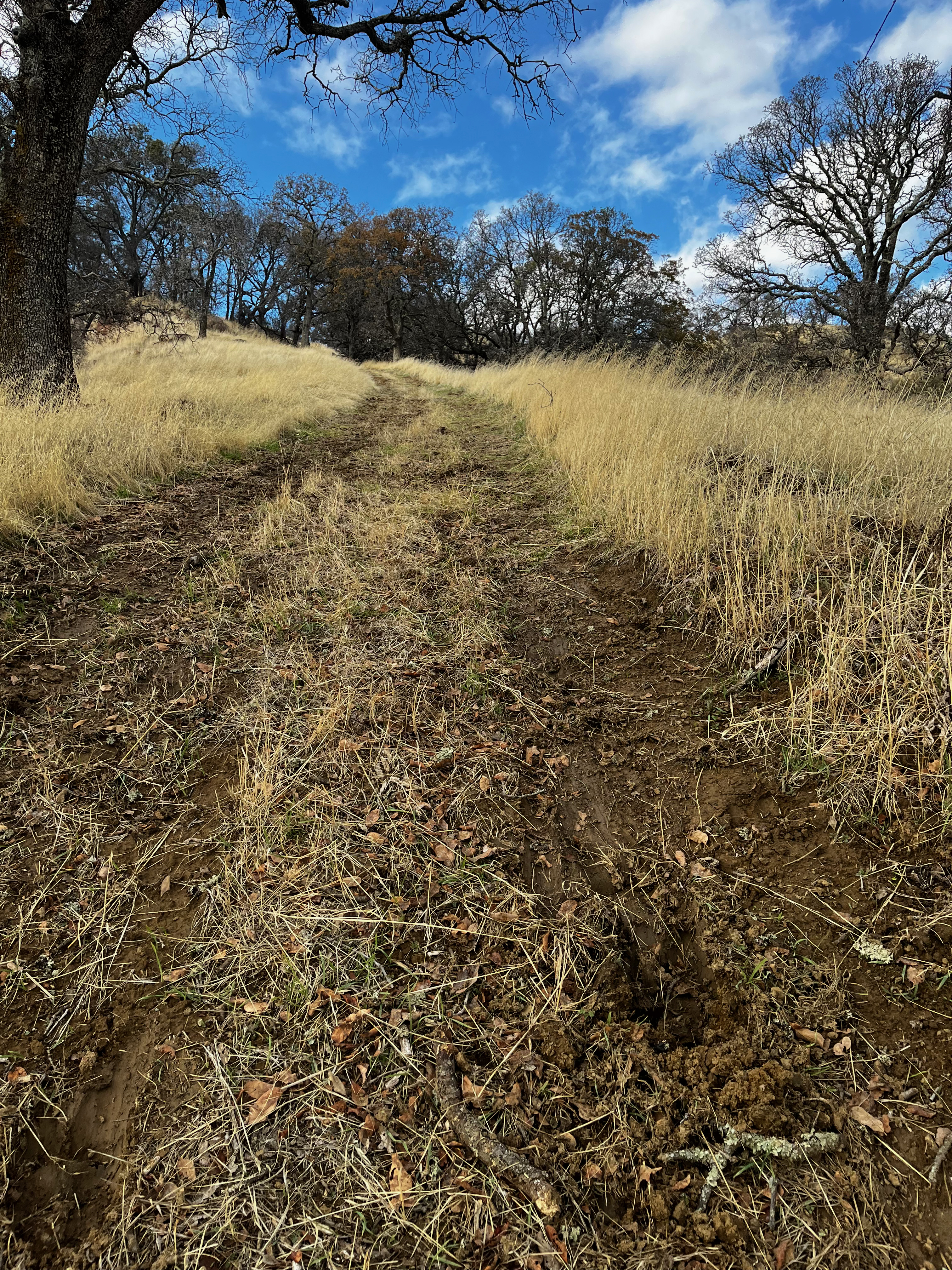 After several days of rain, the path leading up the hill was incredibly muddy.