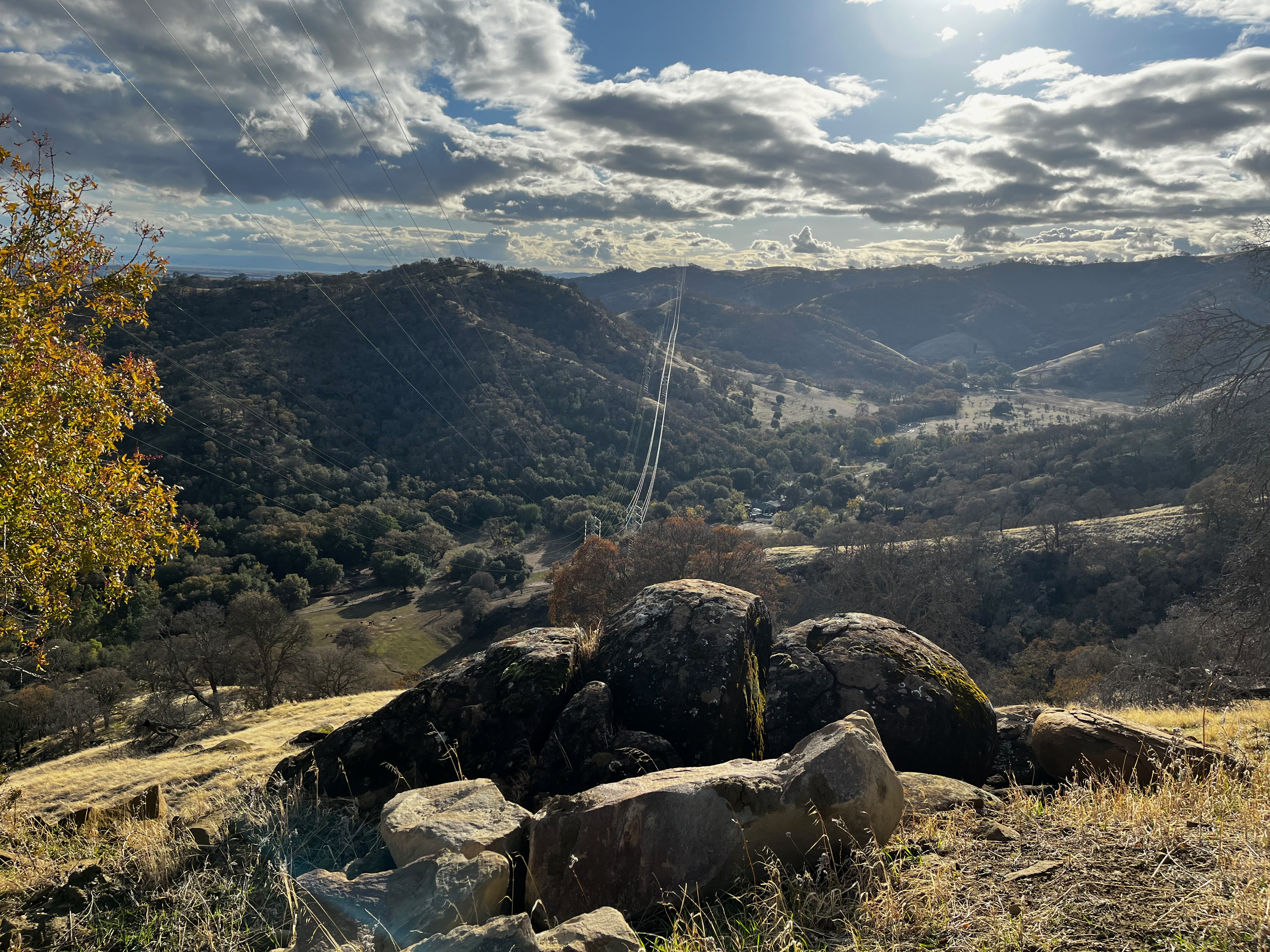 Although the crew surveyed 15 acres in total, it seemed like much more due to the varying elevation of the hilly landscape.