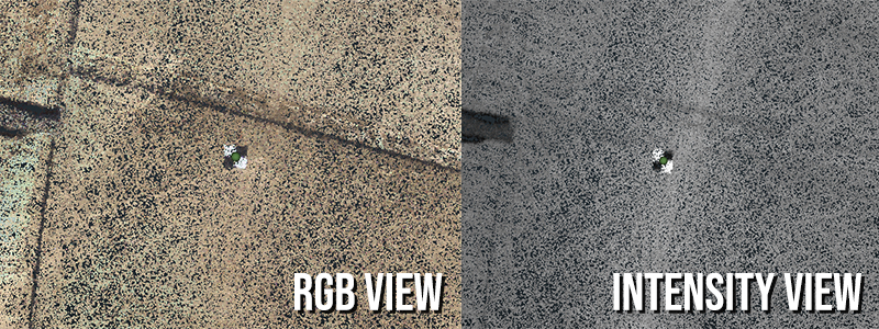 High-contrast GCPs show up easily when you import point cloud data into ROCK Cloud.