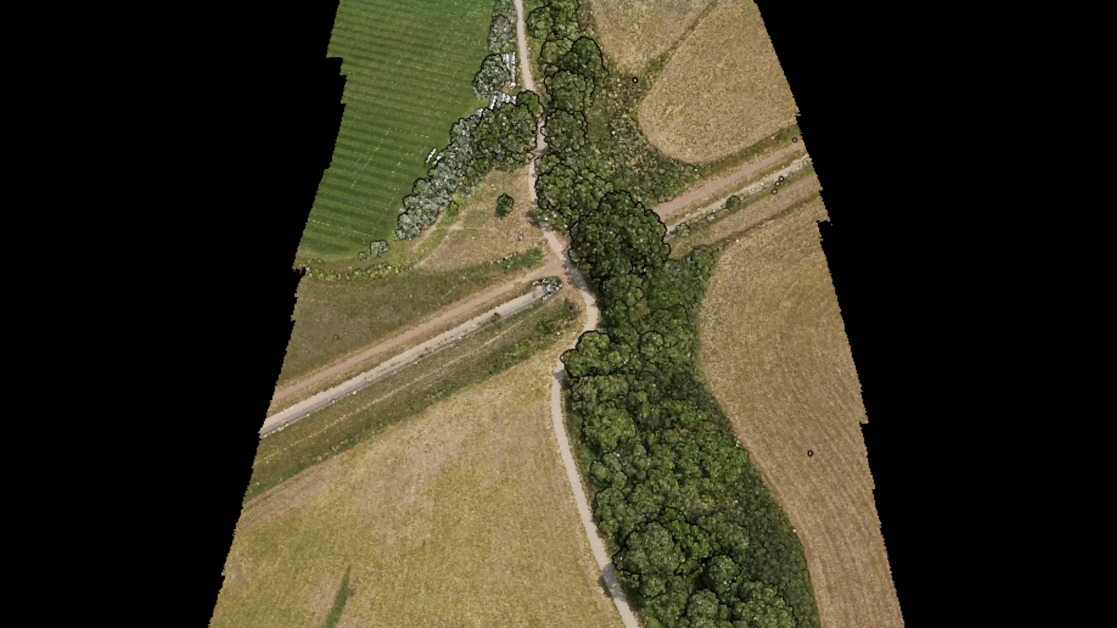 ROCK Cloud detailed visualization of vegetation and ground